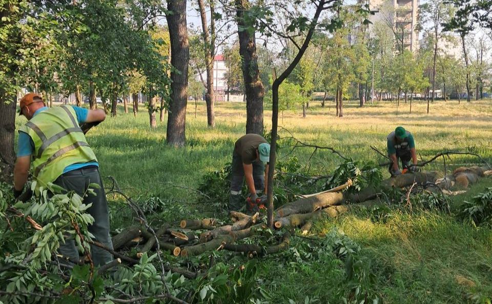 В Дарницькому та Святошинському районах ліквідовують наслідки зливи та шквального вітру (ФОТО)
