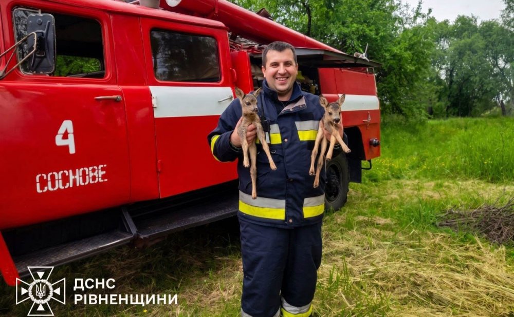 Надзвичайники врятували двох оленят із вогняної пастки (ФОТО)