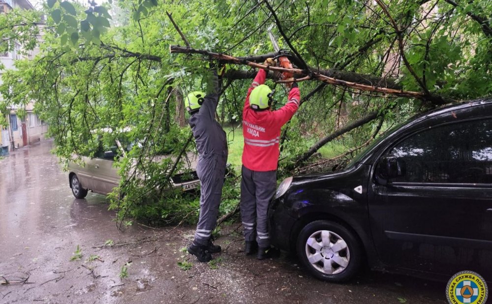 У Києві ліквідували наслідки негоди: рятувальники КАРС прибирали дерева з доріг та авто (ФОТО)