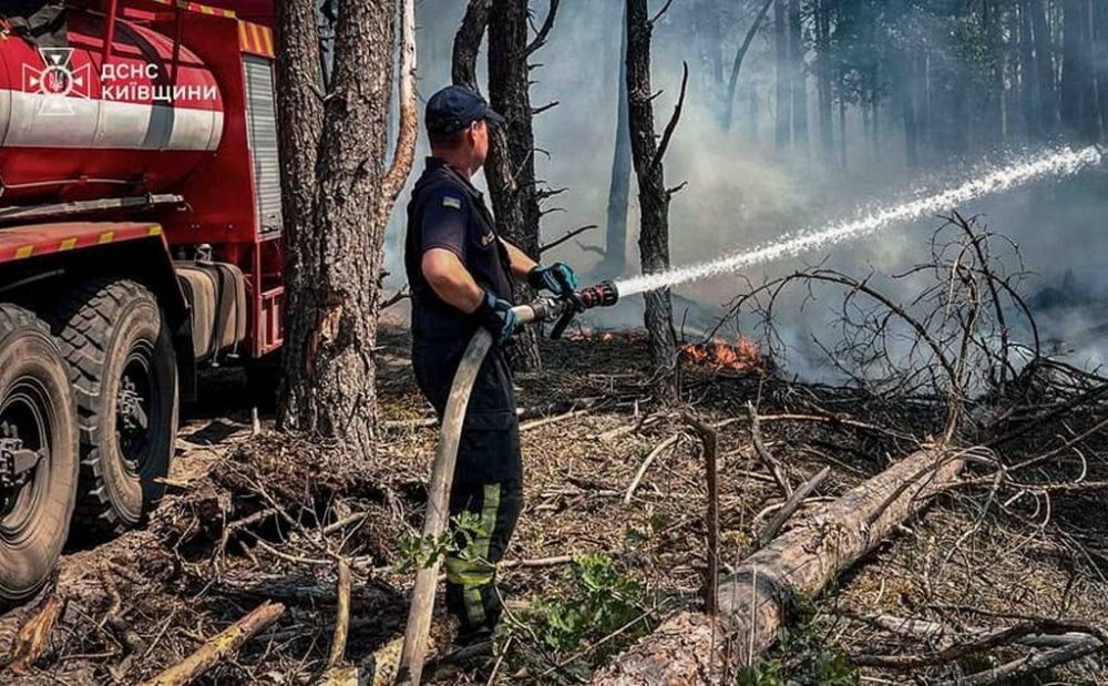 У Чорнобильській зоні загасили два осередки вогню, але виявили загоряння ще в одному місці (ВІДЕО)