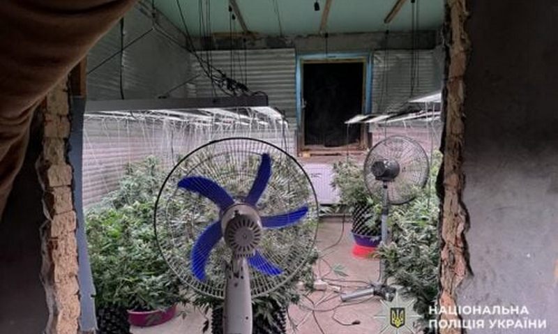 На Хмельниччині викрили наркоаграрія з домашньою фермою (ВІДЕО)