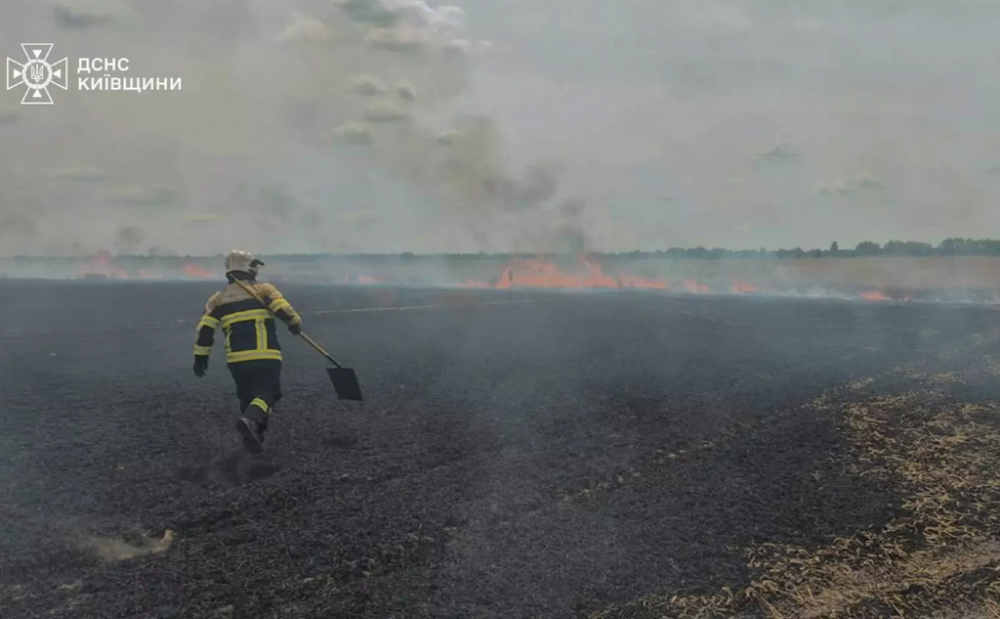 На Київщині зайнялося пшеничне поле: вогонь охопив гектар посівів (ФОТО)