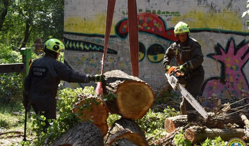 У Києві 4-тонне дерево впало на житлову п'ятиповерхівку (ВІДЕО)