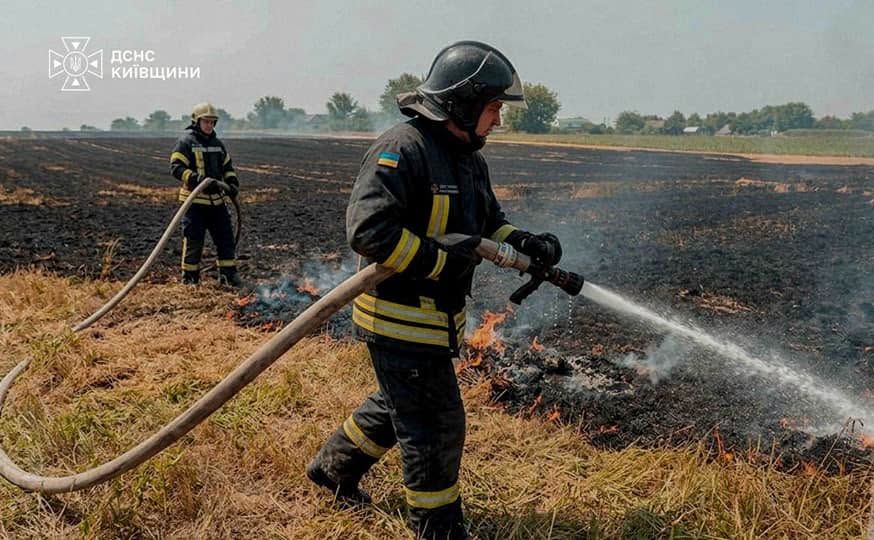 На вигорілому полі на Київщині знайшли тіло пенсіонера (ФОТО)