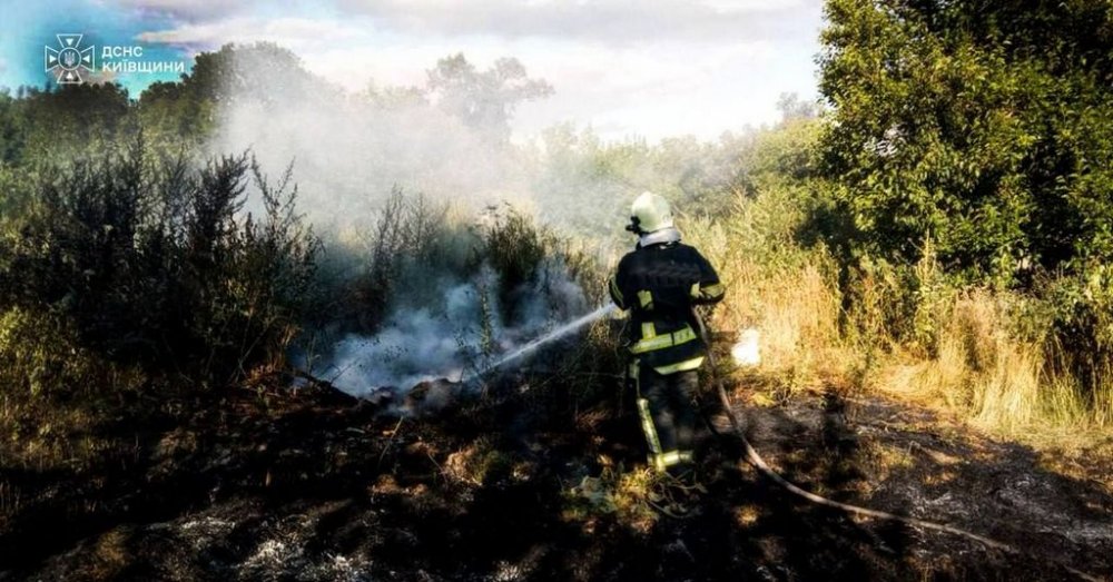 На Київщині під час пожежі в екосистемі загинув чоловік, ще одна жінка дістала опіки (ФОТО)