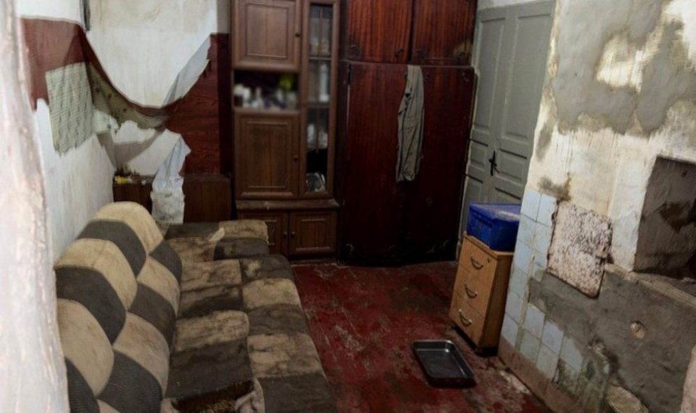 Відкрито кримінальне провадження через неналежне утримання близько 30 доберманів у столичному розпліднику (ФОТО)