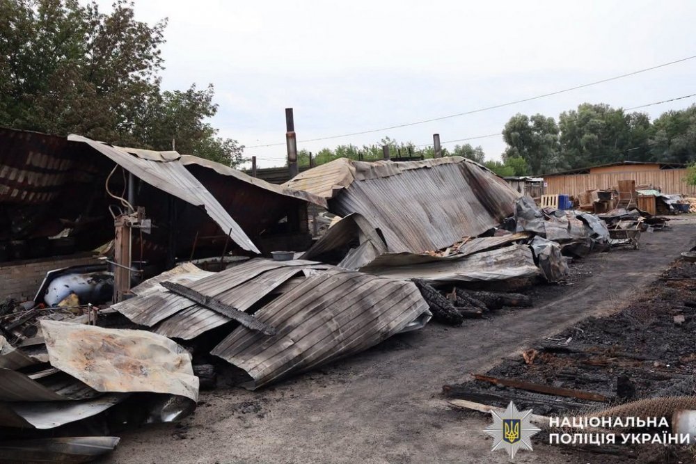 Поліція Київщині розпочала розслідування, щодо пожежі у притулку, в якій загинули тварини